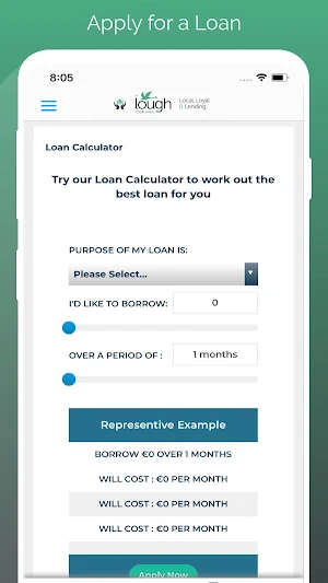 The Lough Credit Union Screenshot 2