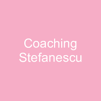 Coaching Stefanescu