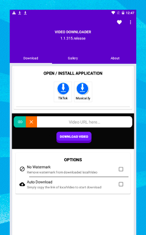 Social Video Downloader Screenshot 2