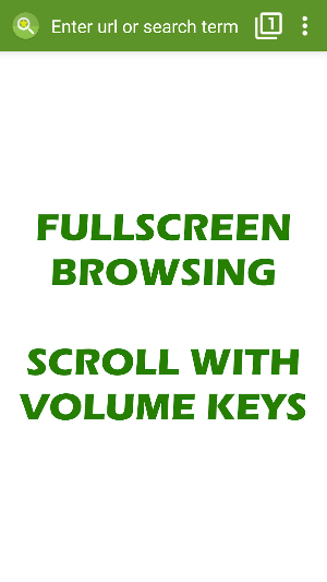 Tiny Browser Pro Screenshot 1