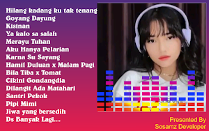 DJ hilang kadang x malam pagi Screenshot 1