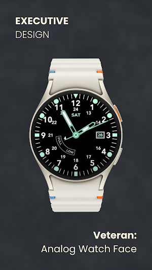 Veteran: Analog Watch Face Screenshot 3