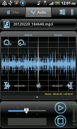 RecForge Pro - Audio Recorder Screenshot 2