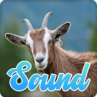 Goat Sounds Effect