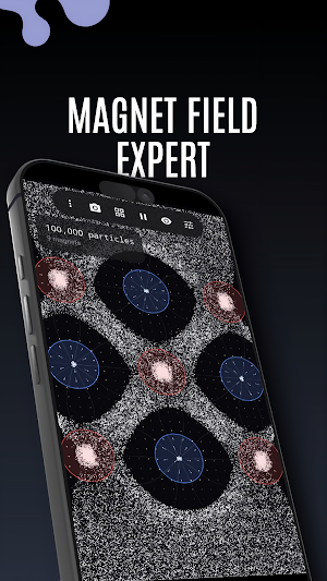 Magnetica: Magnetic Field Sim Screenshot 0