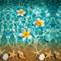 Frangipani Flower - Wallpaper