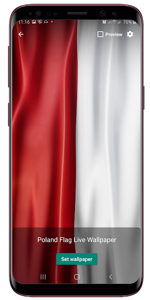 Poland Flag Waving Live Wallpaper Screenshot 2