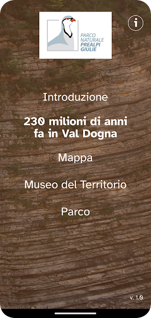 Val Dogna Screenshot 0