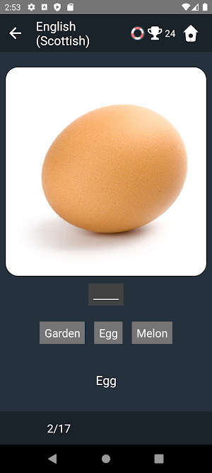 Scottish English Tests Screenshot 3