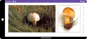 Mushroom Guide and Identifier screenshot 6