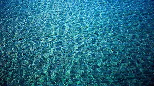 Water wallpapers Screenshot 3
