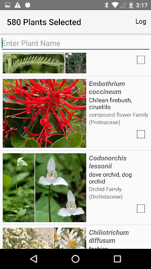 Argentina Wildflowers Screenshot 1