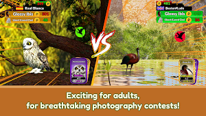 The Birders Screenshot 3