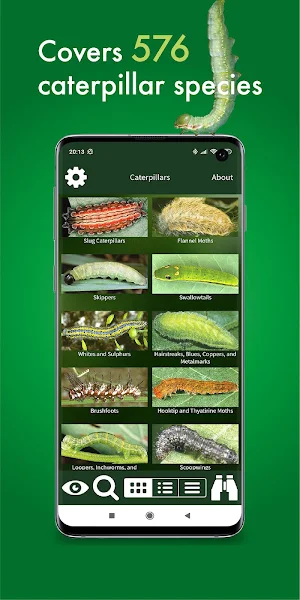 Caterpillar Id USA East Coast Screenshot 1