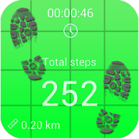 Pedometer and step counter