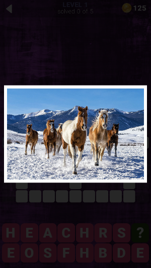 160 Photo Crosswords Screenshot 1