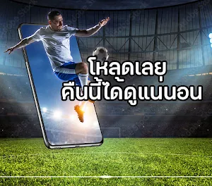 สตาร์ซอคเกอร์ - ภาษาไทย Screenshot 0
