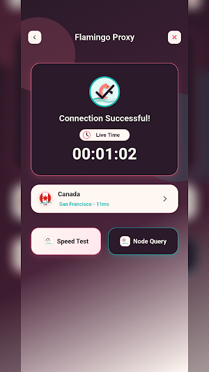Flamingo Proxy Screenshot 2