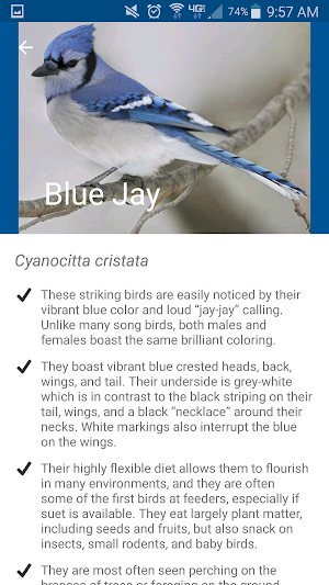 Denver Urban Bird Atlas Screenshot 2