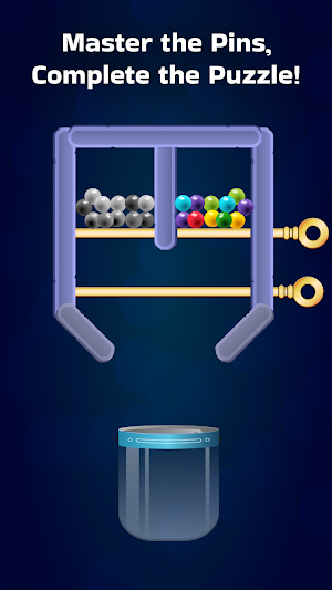 Pin Unlock & Fill Screenshot 0