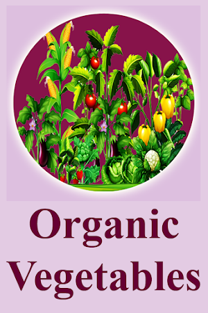 Organic Vegetables Farming Screenshot 3