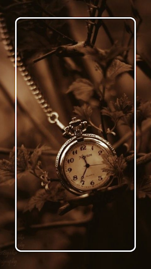 Vintage Wallpaper Aesthetic Screenshot 2