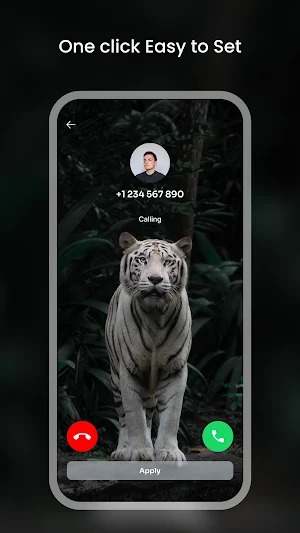 Color Phone: Nice Call Screen Screenshot 1