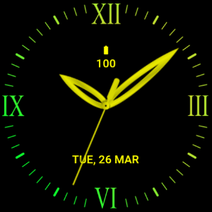 Classic Mango Watch Face Screenshot 3