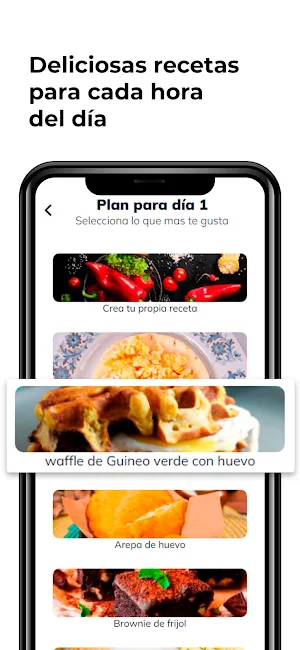Plan 1234pro Screenshot 3