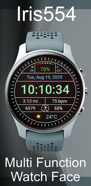 Iris554 Multi-Function Digital Screenshot 1