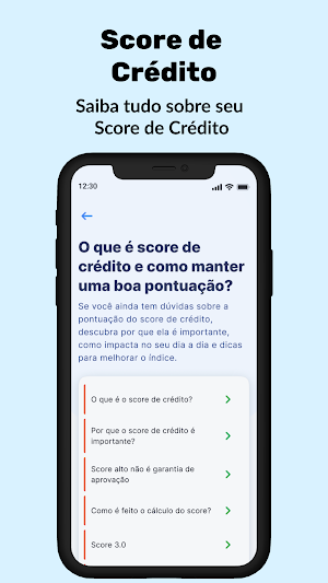 Guia Score e Situação CPF Screenshot 2