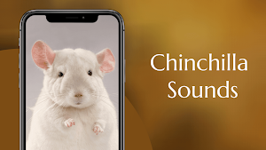 Chinchilla Sounds Screenshot 1