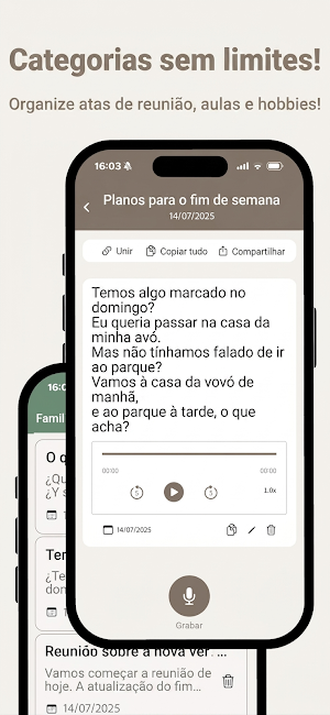 Degravar Áudio: Ata de Reunião Screenshot 2