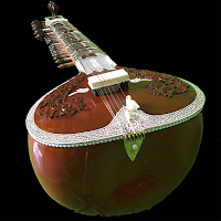 Prakash Paunikar Sitar Classes