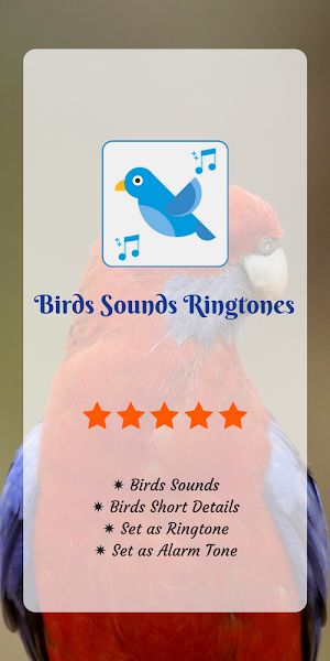 Birds Sounds and Info: Sounds Of Birds Screenshot 0