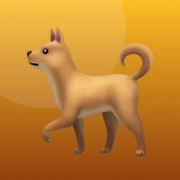 Pet Weight