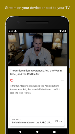 The Alberino Analysis Screenshot 2