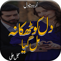 Dill Ko Thikana Mil Gaye Novel
