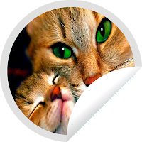 Figurinhas de Gatos