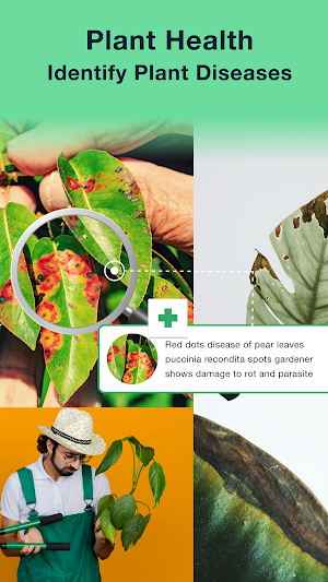 Plant Identifier: Care, Health Screenshot 2