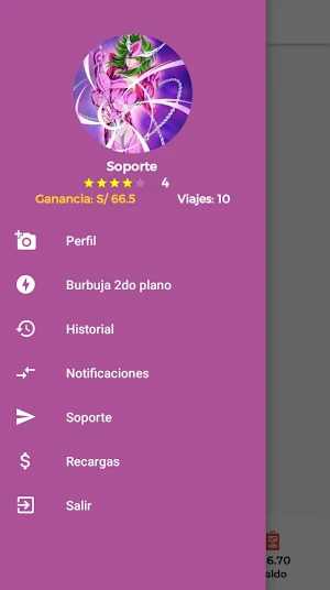 Taxi Online Ica conductor Screenshot 1