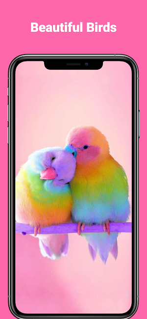 Beautiful hd bird wallpapers Screenshot 1