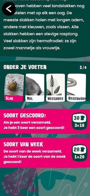 SoortSafari - Het Klokhuis Screenshot 3