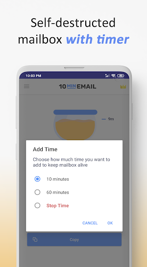10 Minute Mail - Instant disposable email address Screenshot 2