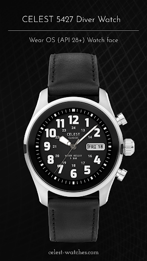 CELEST5427 Diver Watch Screenshot 2