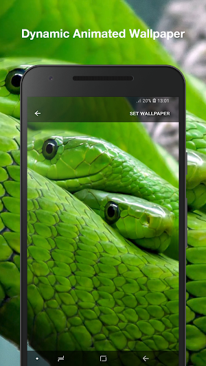 Snake Live Wallpaper Pro Screenshot 1