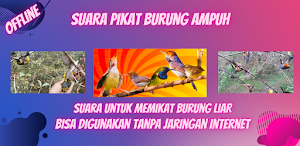 Suara Pikat Burung Ampuh Screenshot 2