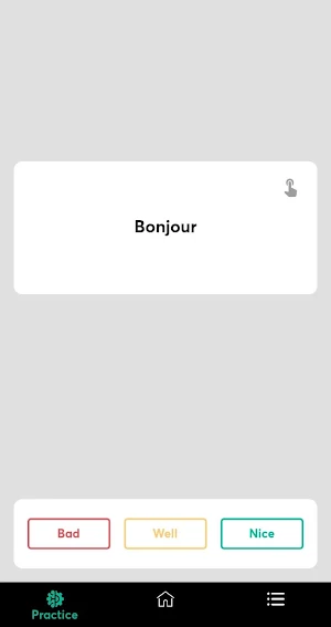 Flashlate Screenshot 3