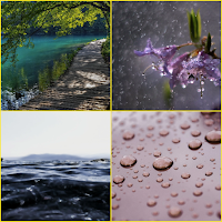 Water Drop, Water, Rain, Boardwalk Wallpapers