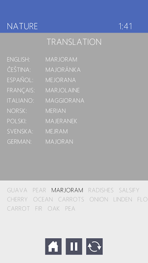 Word Mesh Full Screenshot 2